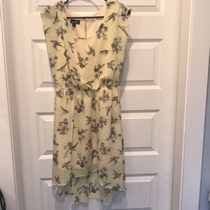 Feminine Floral Bird Hi-Low Dress, Sleeveless